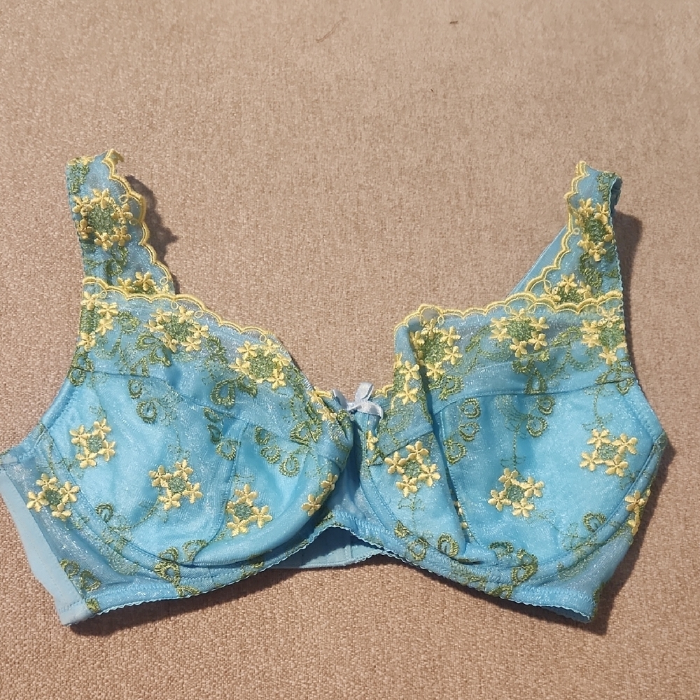 FREDERICK'S Women's   Floral Embroidered Blue and Yellow Bra With Underwire 34DD
